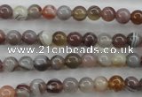 CAG3681 15.5 inches 6mm round botswana agate beads wholesale