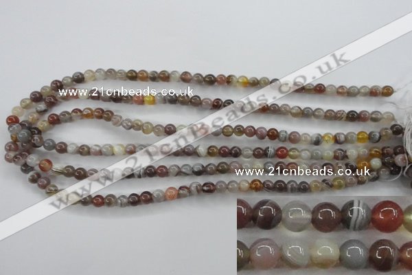 CAG3681 15.5 inches 6mm round botswana agate beads wholesale