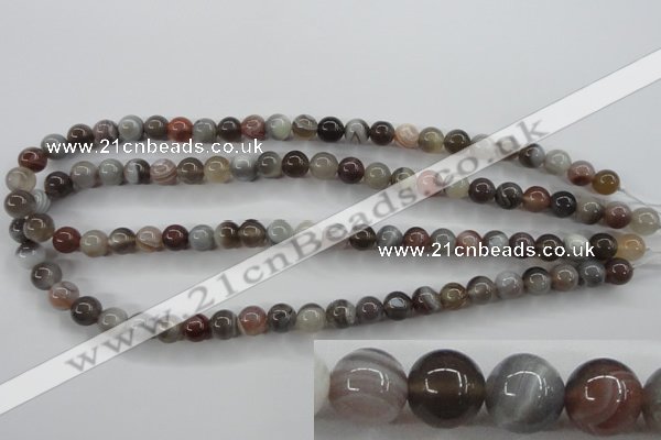 CAG3682 15.5 inches 8mm round botswana agate beads wholesale