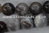 CAG3686 15.5 inches 16mm round botswana agate beads wholesale