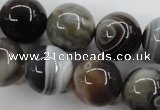 CAG3687 15.5 inches 18mm round botswana agate beads wholesale