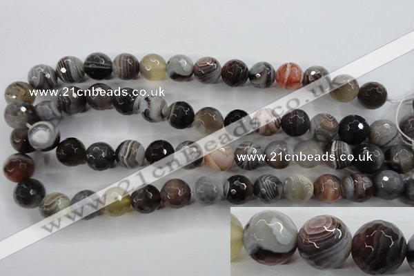 CAG3695 15.5 inches 14mm faceted round botswana agate beads wholesale