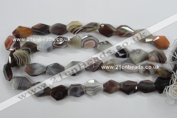 CAG3732 15*18mm – 20*23mm faceted freeform botswana agate beads