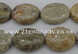 CAG3903 15.5 inches 15*20mm oval chrysanthemum agate beads