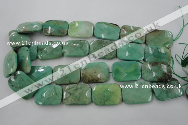 CAG3938 15.5 inches 22*30mm faceted rectangle green grass agate beads