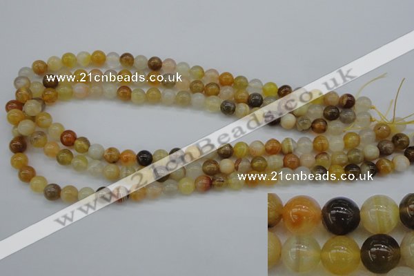 CAG4322 15.5 inches 8mm round botswana agate gemstone beads