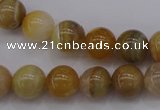 CAG4323 15.5 inches 10mm round botswana agate gemstone beads