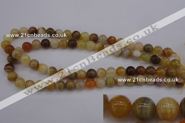 CAG4323 15.5 inches 10mm round botswana agate gemstone beads