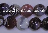 CAG4443 15.5 inches 14mm flat round botswana agate beads wholesale