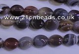 CAG4450 15.5 inches 8*10mm oval botswana agate beads wholesale