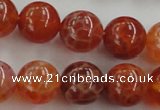 CAG5563 15.5 inches 10mm round natural fire agate beads wholesale