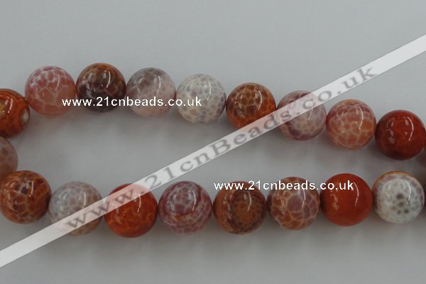 CAG5568 15.5 inches 20mm round natural fire agate beads wholesale