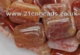 CAG570 15.5 inches 22*30mm rectangle natural fire agate beads