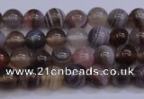 CAG5951 15.5 inches 6mm round botswana agate beads wholesale