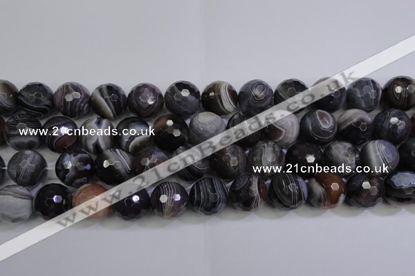 CAG5965 15.5 inches 16mm faceted round botswana agate beads wholesale