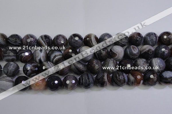 CAG5966 15.5 inches 18mm faceted round botswana agate beads wholesale