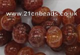 CAG617 15.5 inches 12*16mm rondelle natural fire agate beads