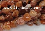 CAG627 15.5 inches 8*8mm heart natural fire agate beads wholesale