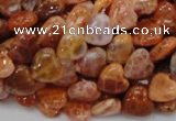 CAG628 15.5 inches 10*10mm heart natural fire agate beads wholesale