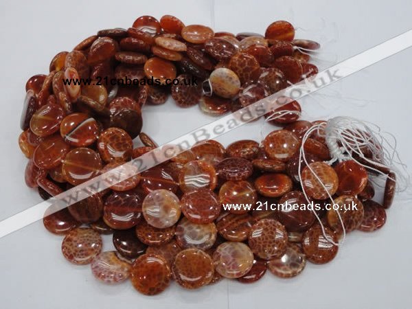 CAG631 15.5 inches 14mm coin natural fire agate beads wholesale