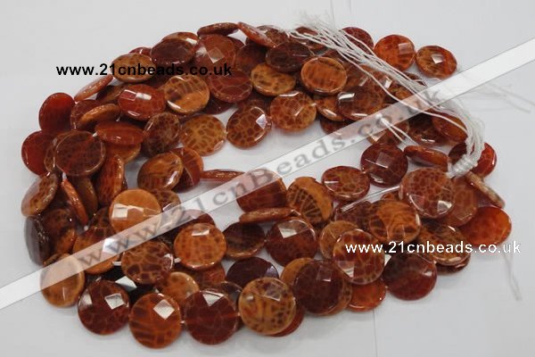 CAG638 15.5 inches 16mm faceted coin natural fire agate beads