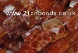 CAG650 15.5 inches 12*12mm faceted square natural fire agate beads