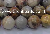 CAG6673 15.5 inches 10mm round natural crazy lace agate beads