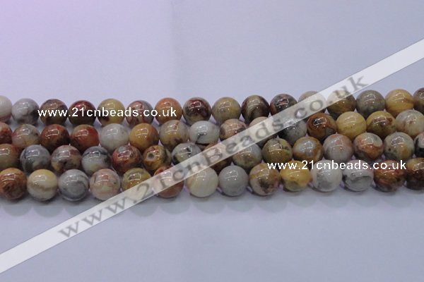 CAG6674 15.5 inches 12mm round natural crazy lace agate beads