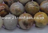 CAG6675 15.5 inches 14mm round natural crazy lace agate beads