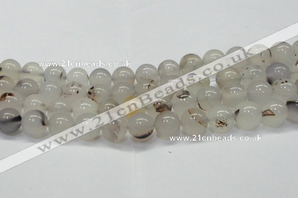 CAG6762 15 inches 10mm round Montana agate beads wholesale