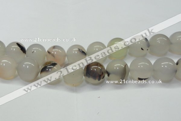 CAG6765 15 inches 16mm round Montana agate beads wholesale