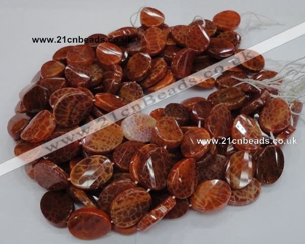 CAG678 15.5 inches 18*25mm twisted oval natural fire agate beads