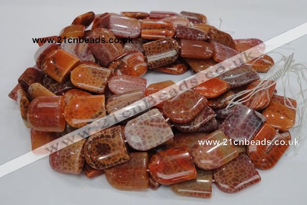 CAG684 15.5 inches 25*30mm freeform natural fire agate beads