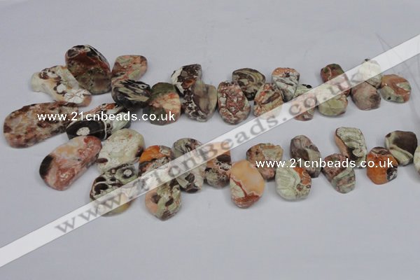 CAG7051 Top drilled 15*20mm - 25*35mm freeform ocean agate beads