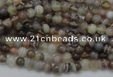 CAG734 15.5 inches 4mm round botswana agate beads wholesale