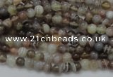 CAG734 15.5 inches 4mm round botswana agate beads wholesale