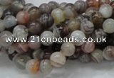 CAG735 15.5 inches 6mm round botswana agate beads wholesale