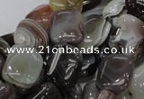 CAG737 15.5 inches 10*14mm rectangle botswana agate beads wholesale