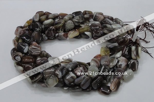 CAG737 15.5 inches 10*14mm rectangle botswana agate beads wholesale