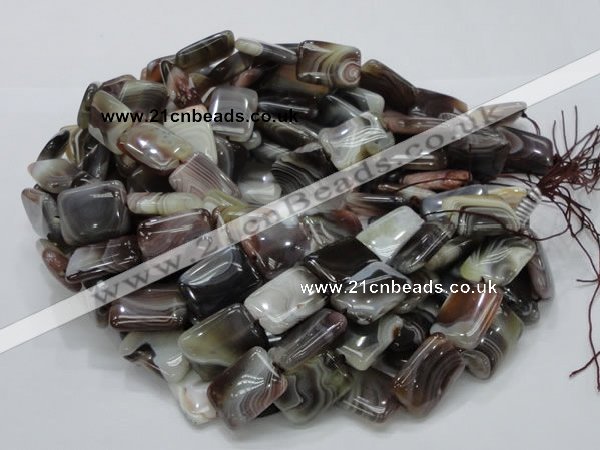 CAG740 15.5 inches 16*20mm rectangle botswana agate beads wholesale