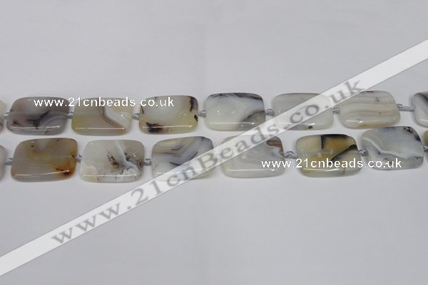 CAG7423 15.5 inches 18*25mm rectangle Montana agate beads