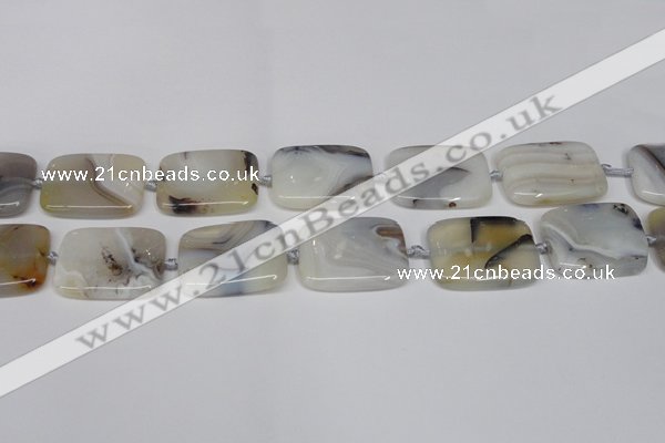 CAG7424 15.5 inches 20*30mm rectangle Montana agate beads