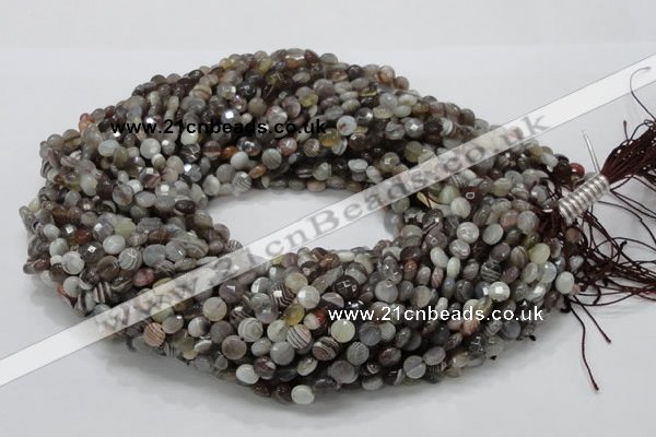 CAG749 15.5 inches 6mm faceted coin botswana agate beads wholesale