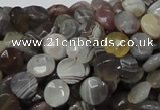 CAG750 15.5 inches 8mm faceted coin botswana agate beads wholesale