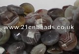 CAG751 15.5 inches 10mm faceted coin botswana agate beads wholesale