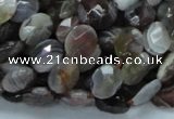 CAG754 15.5 inches 8*10mm faceted oval botswana agate beads