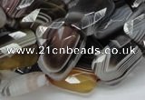 CAG760 15.5 inches 14*18mm faceted rectangle botswana agate beads