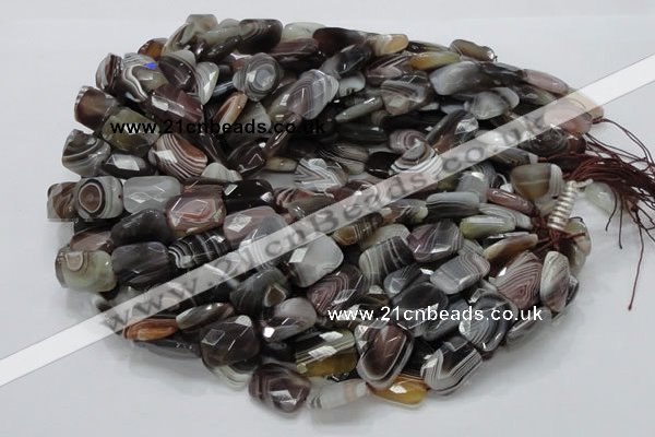 CAG760 15.5 inches 14*18mm faceted rectangle botswana agate beads