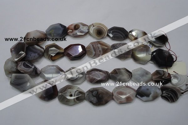 CAG761 15.5 inches 18*25mm faceted freeform botswana agate beads