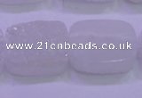 CAG8250 Top drilled 18*25mm rectangle white plated druzy agate beads